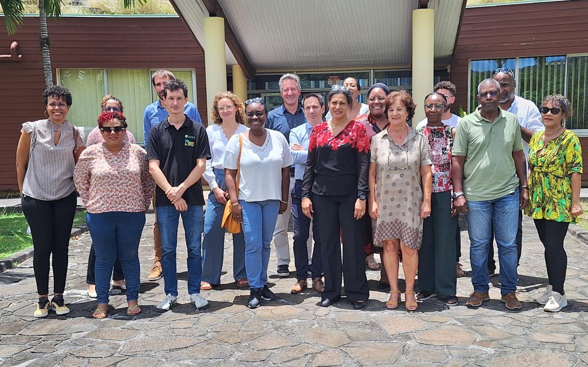 Visite d'une délégation de la CTM et du DRARI. © J. Réminy, Cirad.jpg